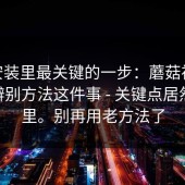 iOS 安装里最关键的一步：蘑菇视频官网 - 辨别方法这件事 - 关键点居然在这里。别再用老方法了